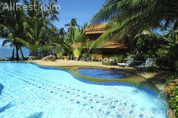 Coconut Tropicana 11